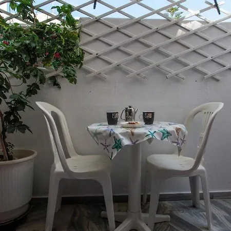 招待所 Marisa Páros