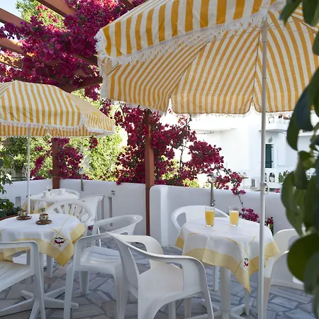 招待所 Marisa Páros