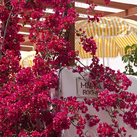 招待所 Marisa Páros