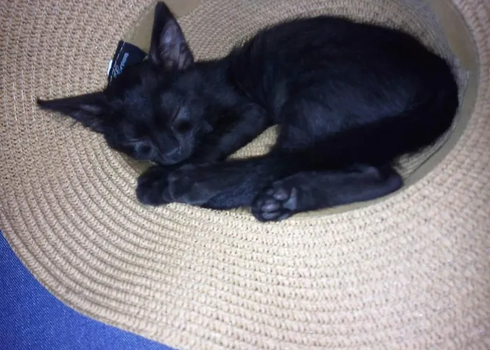 Marisa Πανσιόν 4*