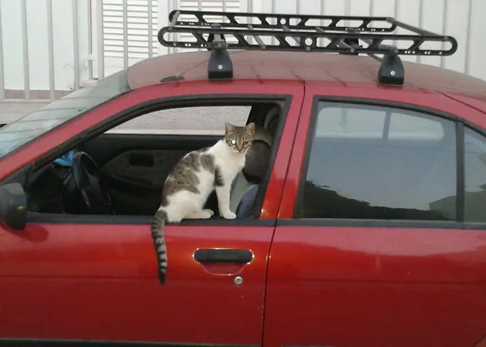 Πανσιόν Marisa 4*